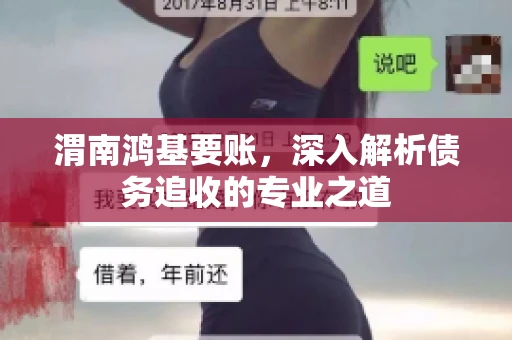 渭南鸿基要账，深入解析债务追收的专业之道