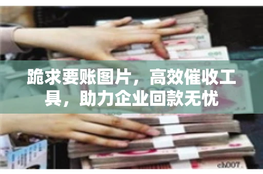 跪求要账图片，高效催收工具，助力企业回款无忧