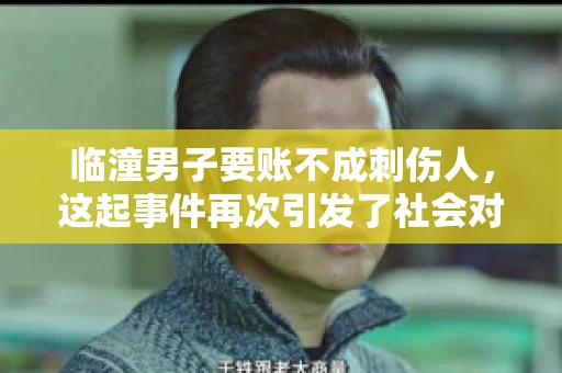 临潼男子要账不成刺伤人，这起事件再次引发了社会对讨债行为的关注。在这个故事中，我们不仅要了解事件的经过，还要思考如何避免类似悲剧的发生。