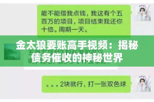 金太狼要账高手视频：揭秘债务催收的神秘世界