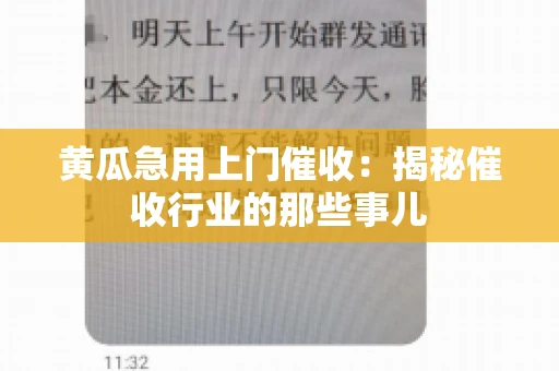 黄瓜急用上门催收：揭秘催收行业的那些事儿