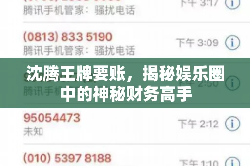 沈腾王牌要账，揭秘娱乐圈中的神秘财务高手